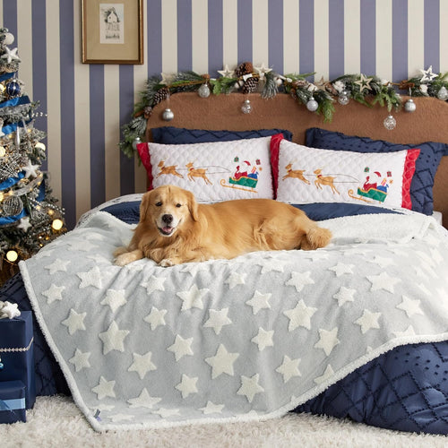 PETGROVE™ CloudSoft Pet Blanket