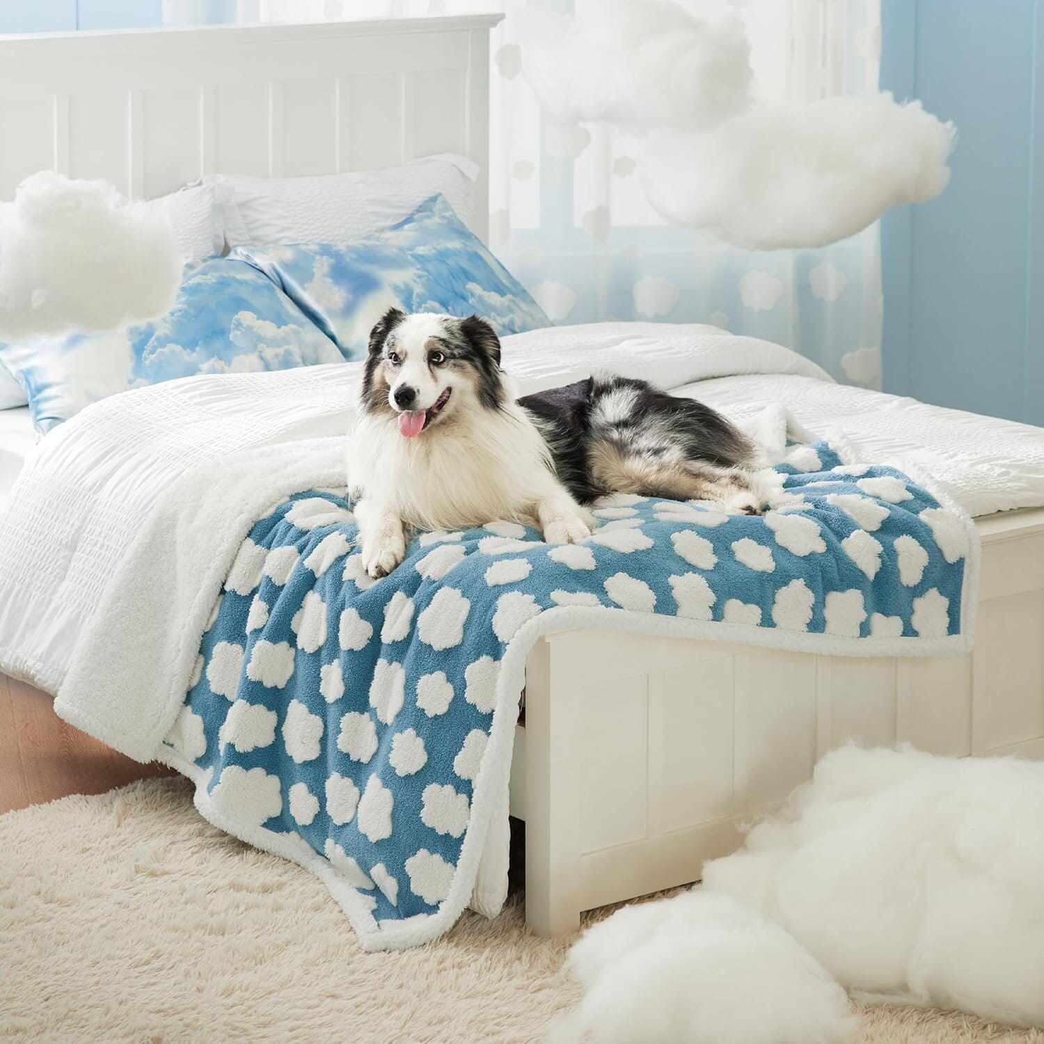 PETGROVE™ CloudSoft Pet Blanket