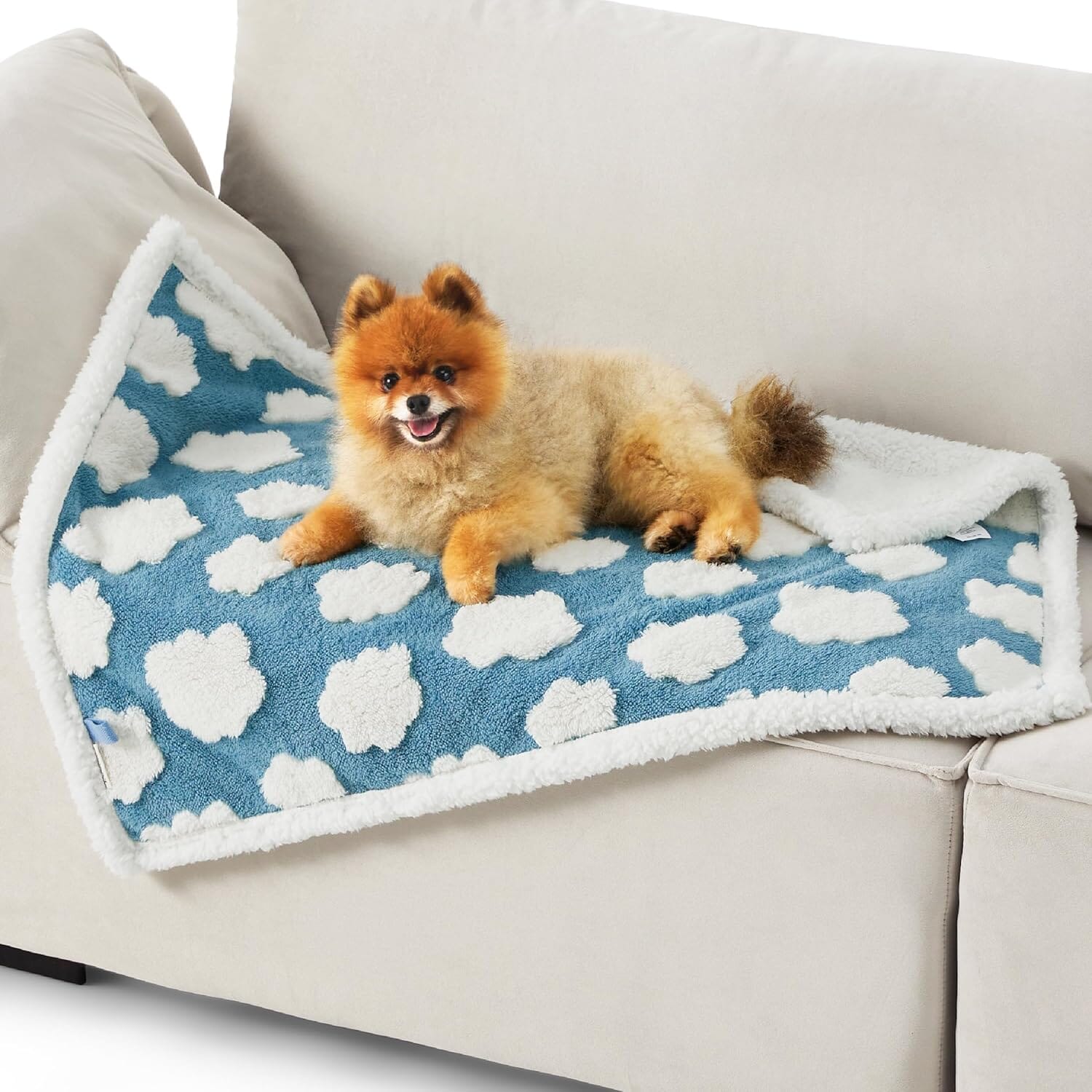 PETGROVE™ CloudSoft Pet Blanket