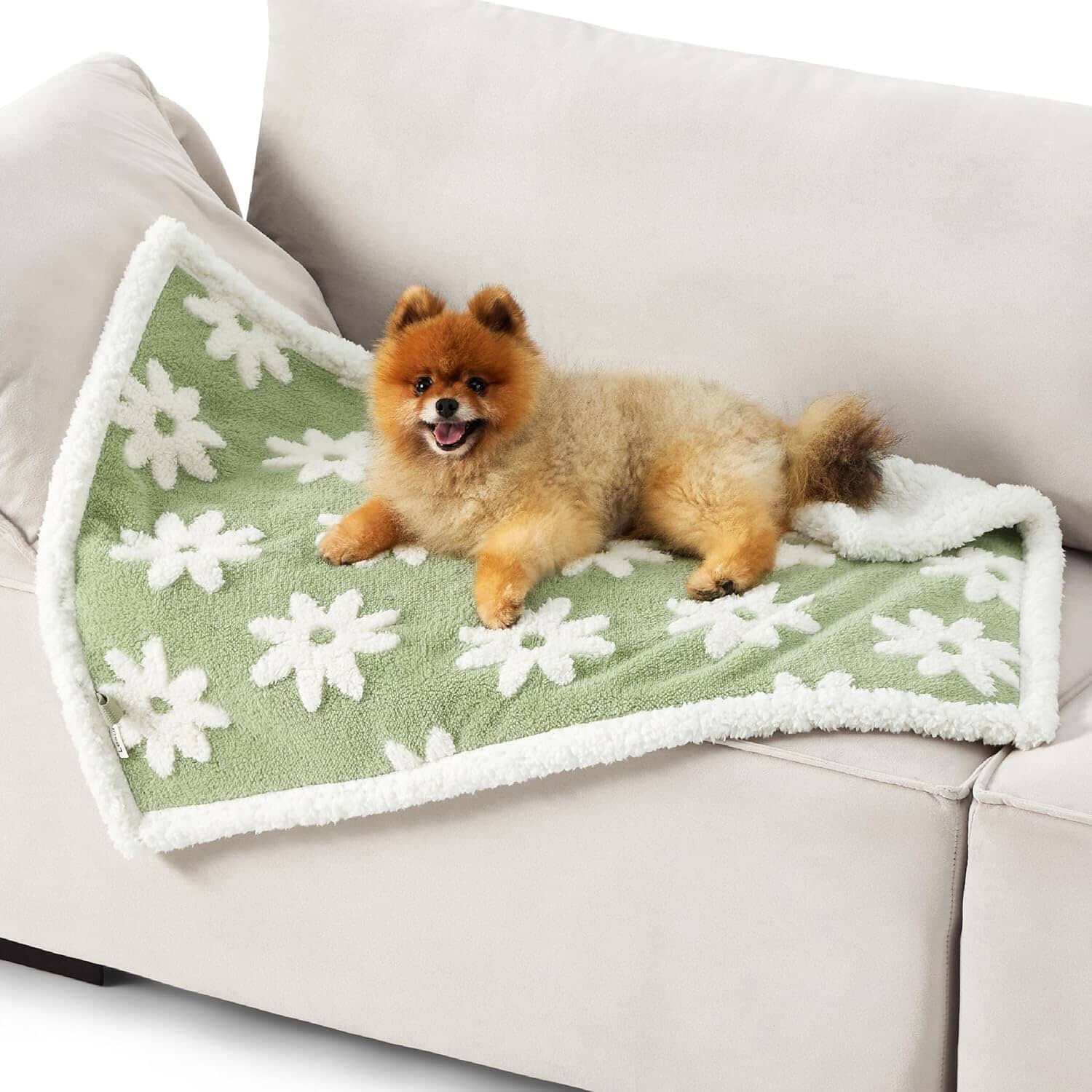 PETGROVE™ CloudSoft Pet Blanket