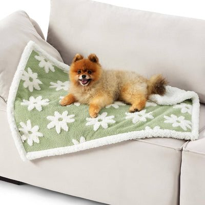 PETGROVE™ CloudSoft Pet Blanket