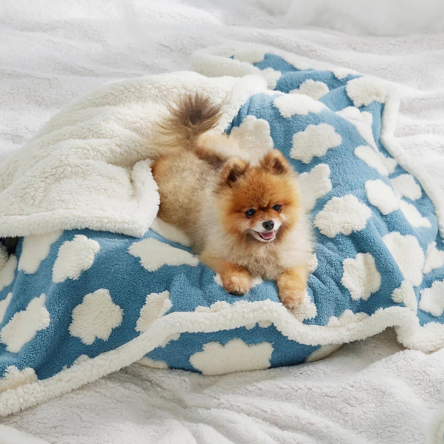 PETGROVE™ CloudSoft Pet Blanket