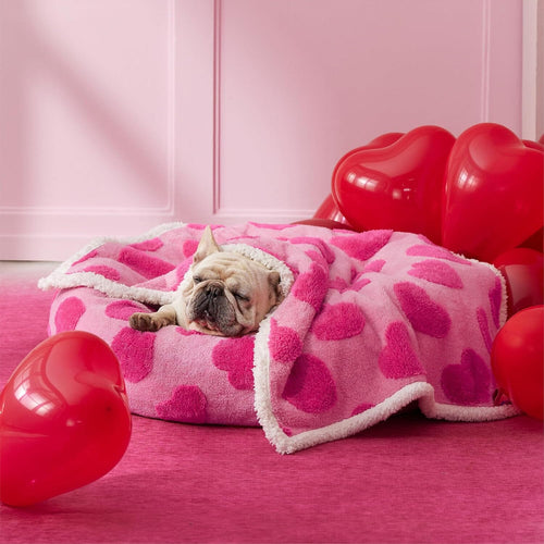 PETGROVE™ CloudSoft Pet Blanket