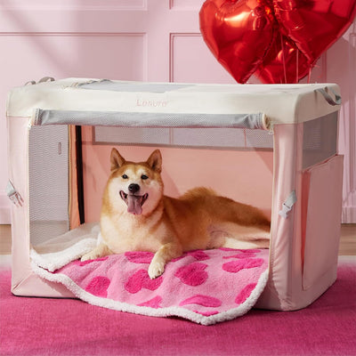 PETGROVE™ CloudSoft Pet Blanket