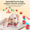 Petgrove SmartRoll: Interactive 360° Pet Ball